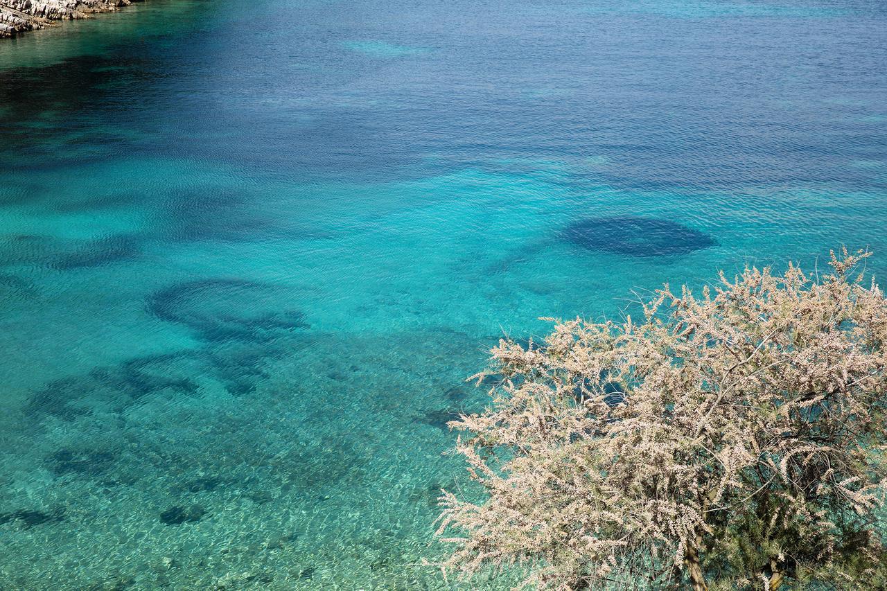 Little Green Bay Hotel Hvar Island Ngoại thất bức ảnh